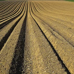 Diskutovali o agrárnej politike Diskutovali o agrárnej politike